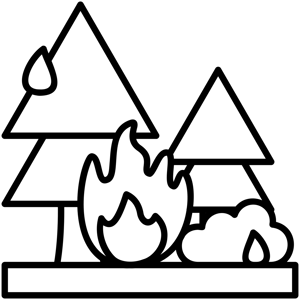 Wildfire icon