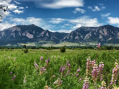 Flatirons in boulder present in the backdrop of a field in Louisiville
